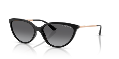 Sunglasses Vogue Eyewear VO5672S W44/T3 57 16