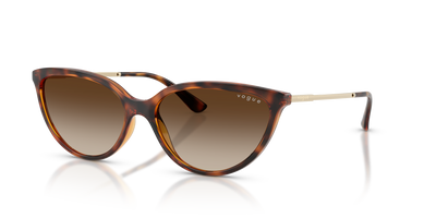 Sunglasses Vogue Eyewear VO5672S W65613 57 16