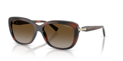 Lunettes de Soleil Vogue Eyewear VO5678SB 2386T5 55 16
