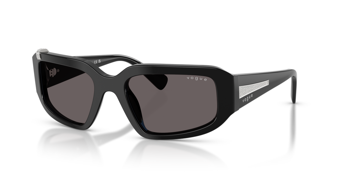 Sunglasses Vogue Eyewear VO5688SB W44/87 55 20