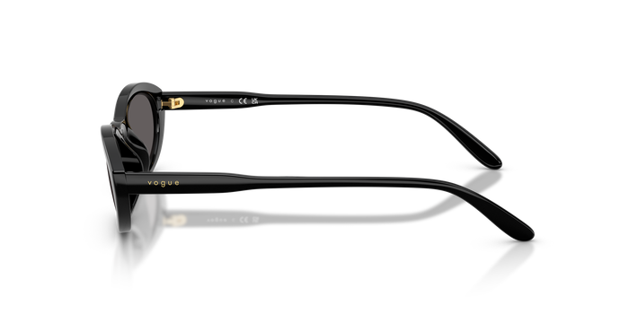 Gafas de Sol Vogue Eyewear VO5697SU W44/87 54 19 — Imagen 3