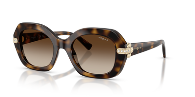 Lunettes de Soleil Vogue Eyewear VO5706SB W65613 50 21