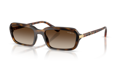太阳镜 Vogue Eyewear VO5744S W65613 55 19