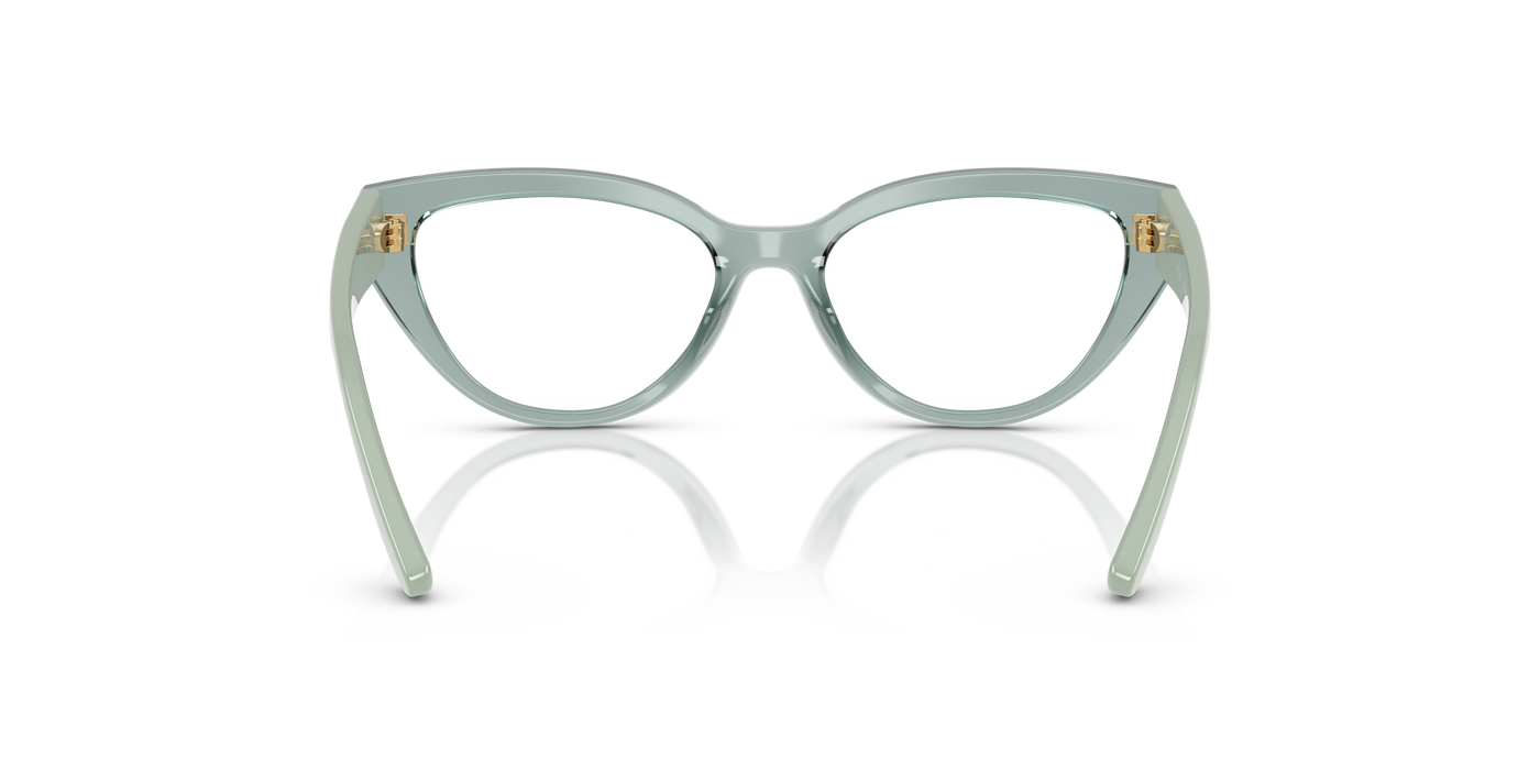 Gafas Graduadas Vogue Eyewear Vy2031 VY2031 3117 48 16 · vista 3