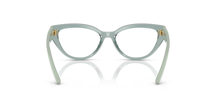 Gafas Graduadas Vogue Eyewear Vy2031 VY2031 3117 50 16 — vista 3