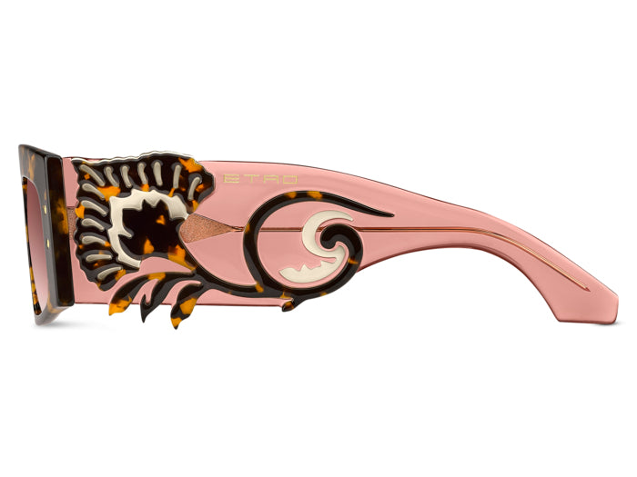 Gafas de Sol Etro ETROBLOSSOM 0863X 54 18 — vista 4