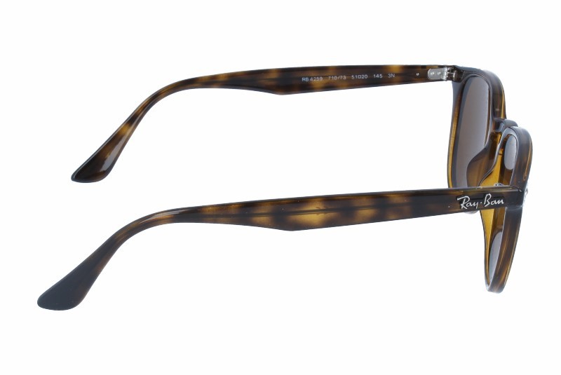 Gafas de Sol Ray-Ban RB4259 710/73 51 20
