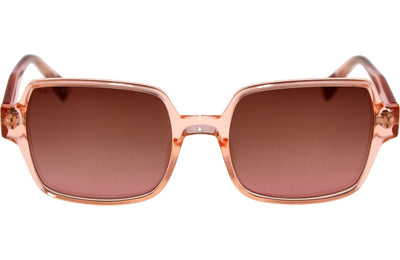 Lunettes de Soleil Mr Wonderful MW29068 566 51 18