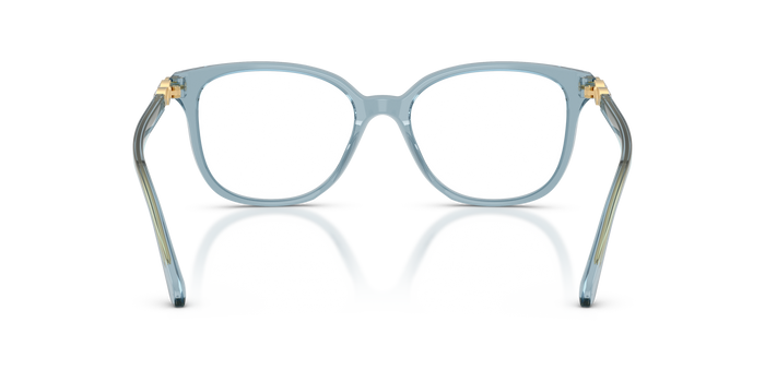 Gafas Graduadas Swarovski SK2069 1108 51 / 53 17 — Imagen 3