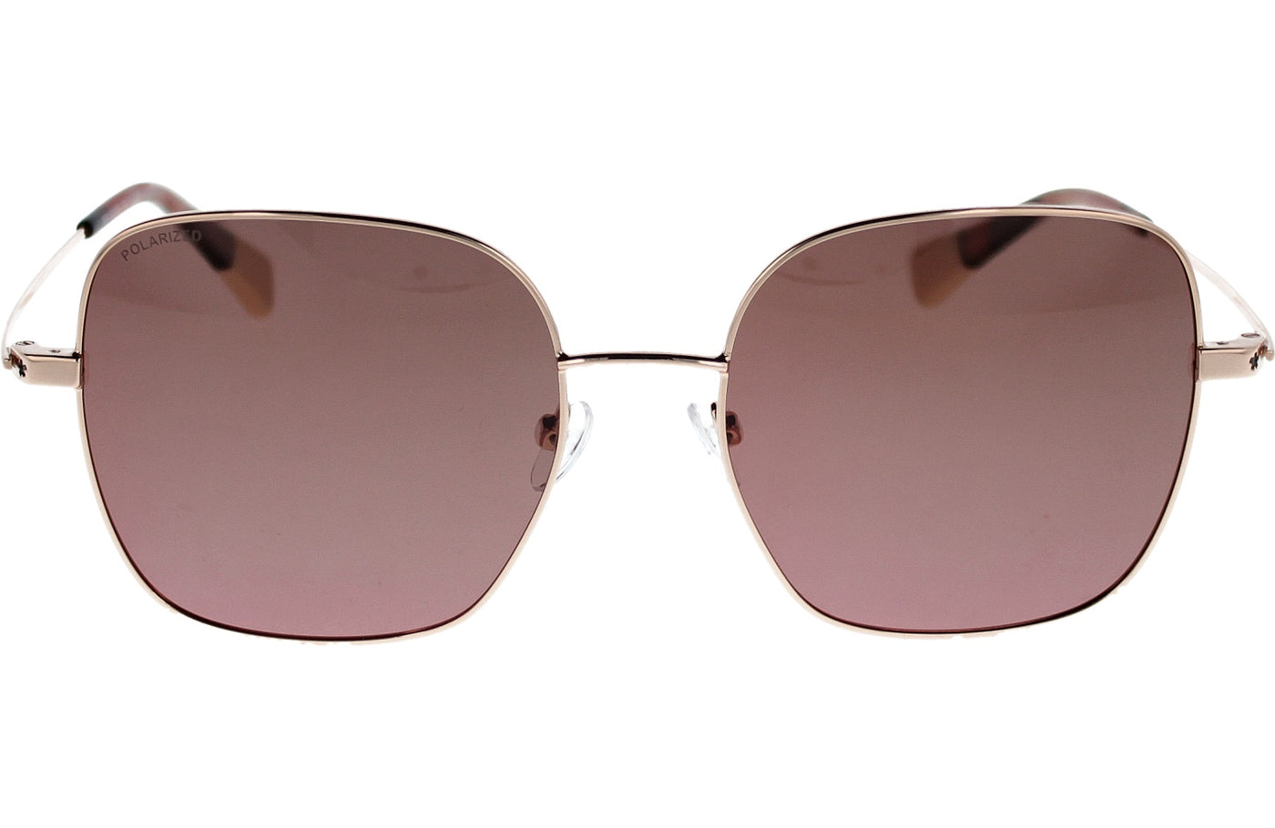 Gafas de Sol Mr Wonderful MW29099 100 53 17