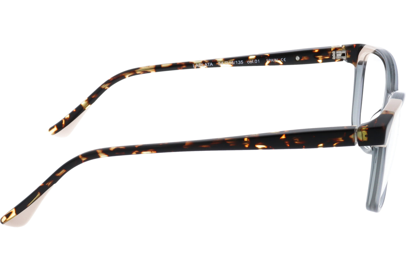 Gafas Graduadas Xavier Garcia Laplata 1 54 15