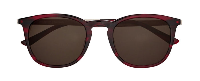 Sunglasses Prodesign Model 8666 4832 52 22 — Image 2