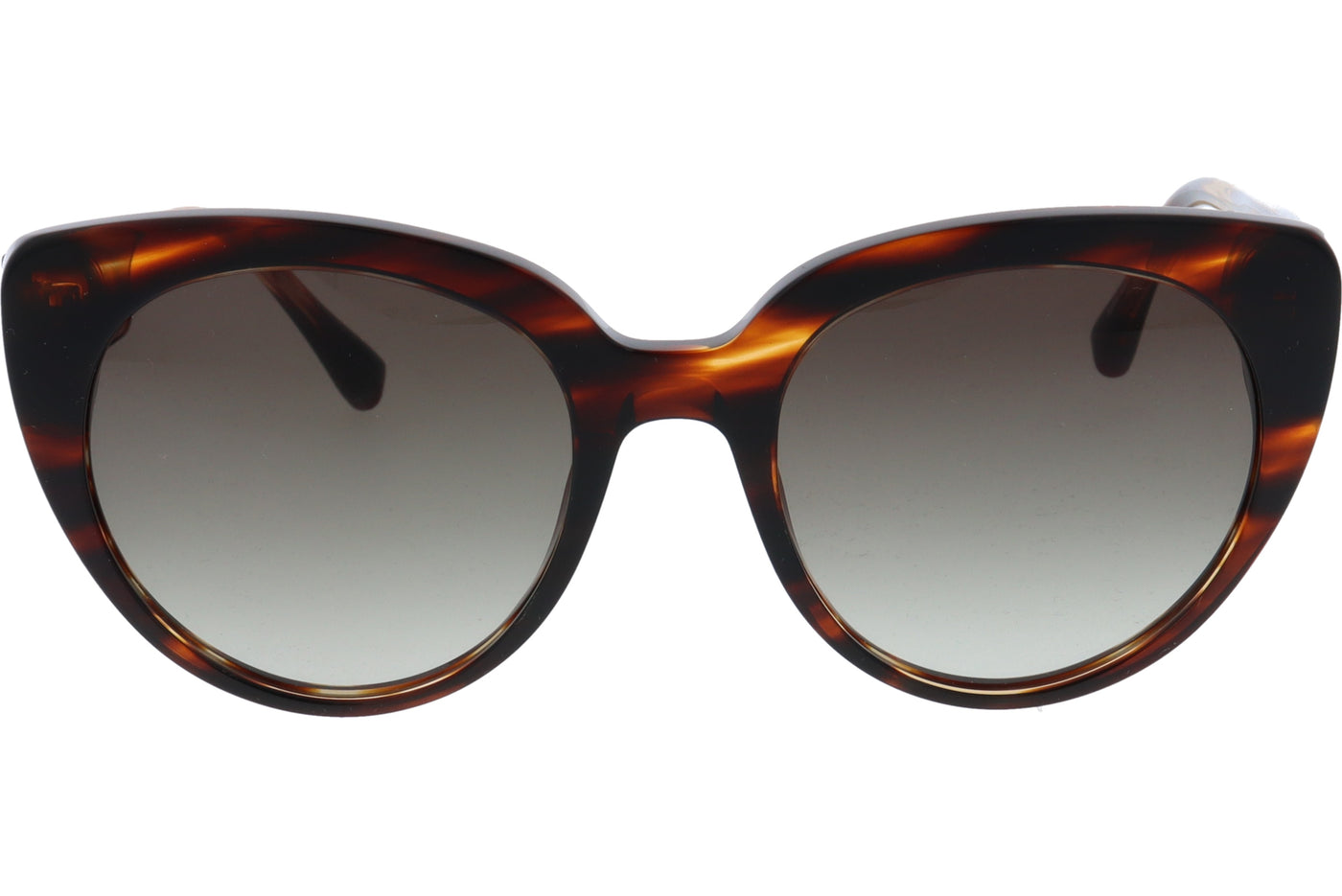 Gafas de Sol Zen Istana C02 55 21