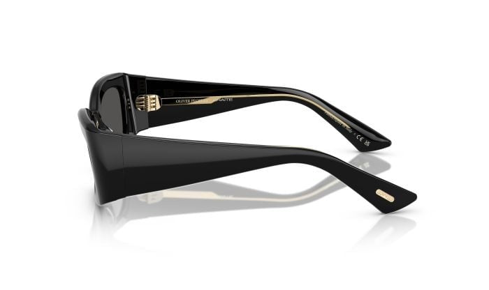 Gafas de Sol Oliver Peoples 1993C OV5575SU 149287 54 20