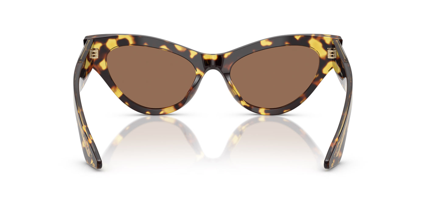 Gafas de Sol Oliver Peoples 1951C OV5573SU 140773 54 19
