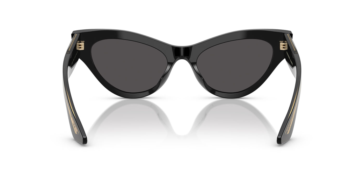 Gafas de Sol Oliver Peoples 1951C OV5573SU 149287 54 19