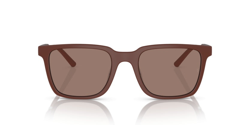 Gafas de Sol Oliver Peoples Mr.Federer OV5553SU 700253 52 20
