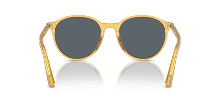 Sonnenbrillen Persol Miele PO3350 204/R5 53 20 — vista 5