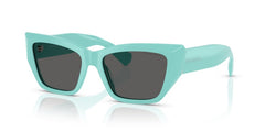 Sunglasses Tiffany&Co TF4230 8388S4 54 17