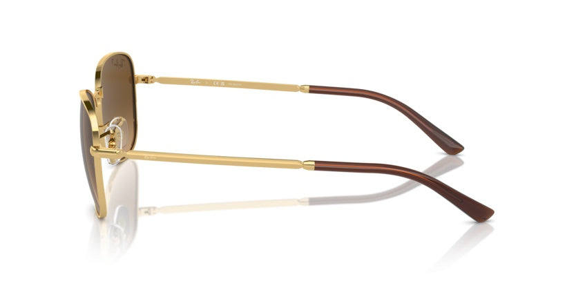 Gafas de Sol Ray-Ban RB3733 001/M2 59 17