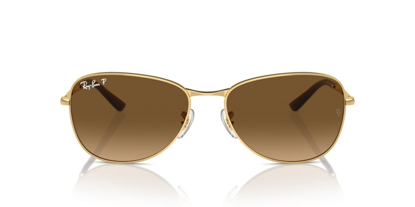 Gafas de Sol Ray-Ban RB3733 001/M2 59 17