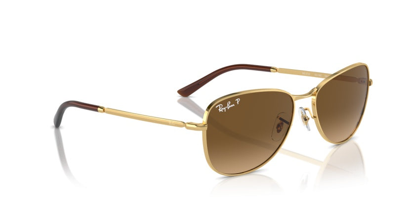 Gafas de Sol Ray-Ban RB3733 001/M2 59 17