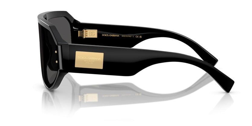 Gafas de Sol Dolce Gabbana DG4481 501/87 47 14