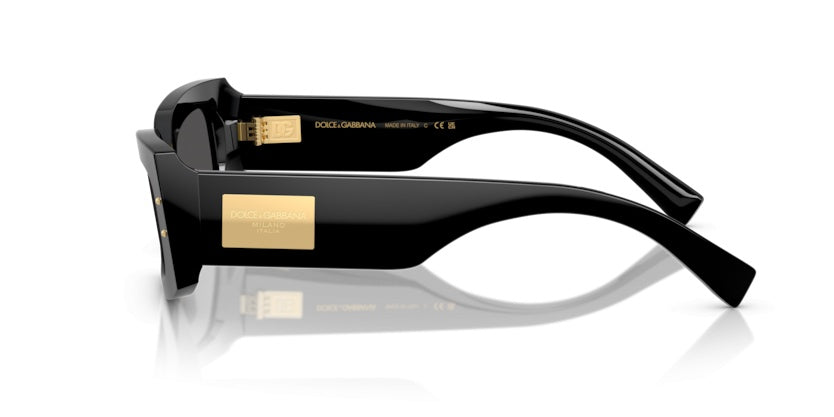 Gafas de Sol Dolce Gabbana DG4479 501/87 55 20
