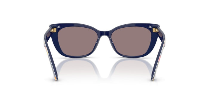 Sonnenbrillen Dolce Gabbana DG4427 34357N 49 15 — vista 5