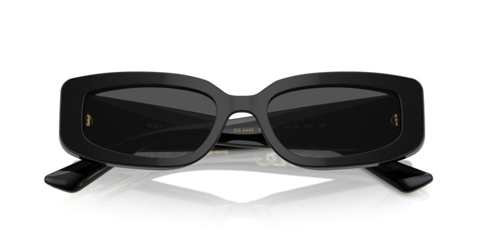 Sonnenbrillen Dolce Gabbana DG4445 335587 54 18 — vista 5