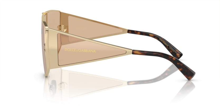 Gafas de Sol Dolce Gabbana DG2305 13655A 44 144
