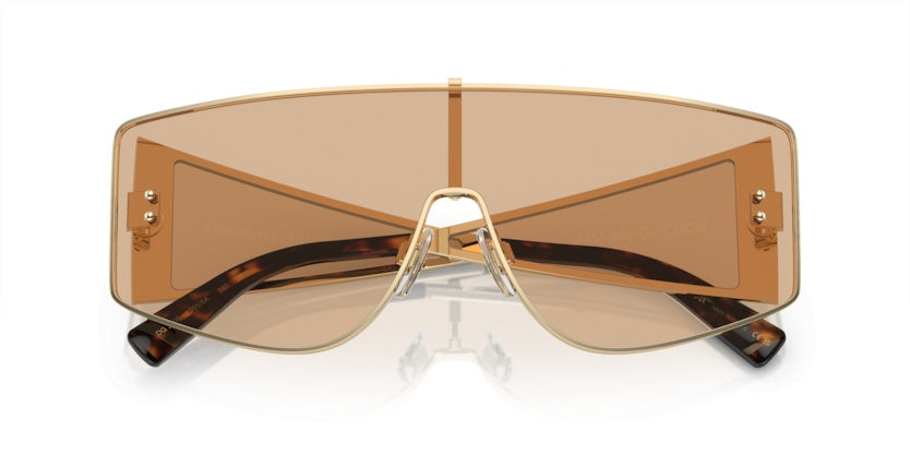 Gafas de Sol Dolce Gabbana DG2305 13655A 44 144