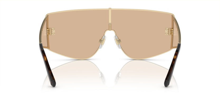 Gafas de Sol Dolce Gabbana DG2305 13655A 44 144