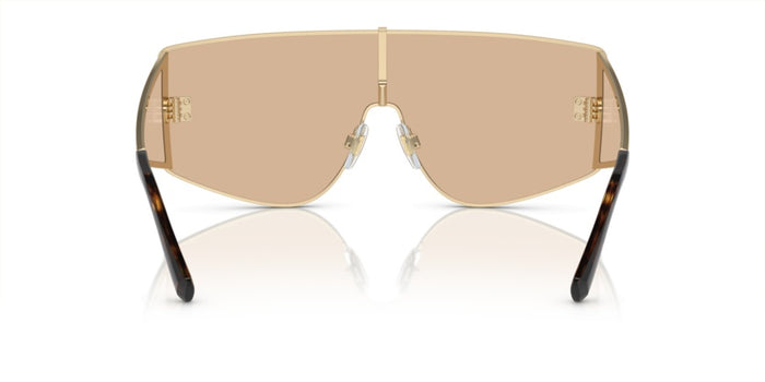 Gafas de Sol Dolce Gabbana DG2305 13655A 44 144 — vista 5