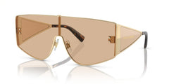 Gafas de Sol Dolce Gabbana DG2305 13655A 44 144