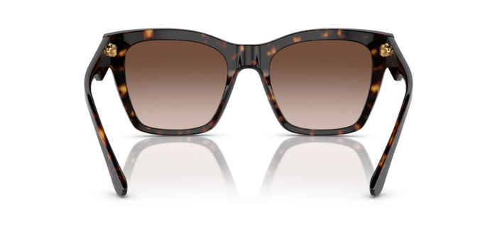 Sonnenbrillen Dolce Gabbana DG4384 502/13 53 20 — vista 5