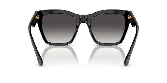 Sonnenbrillen Dolce Gabbana DG4384 501/8G 53 20 — vista 4