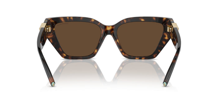 Sonnenbrillen Tiffany&Co TF4218 80153G 55 17 — vista 5