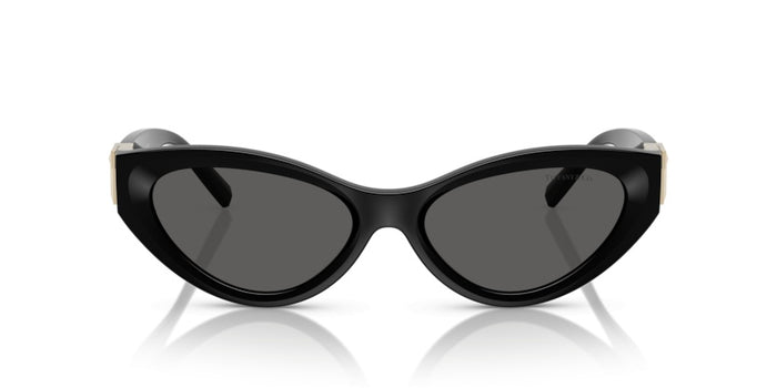 Lunettes de Soleil Tiffany&Co TF4225U 8001S4 54 17 — vista 2