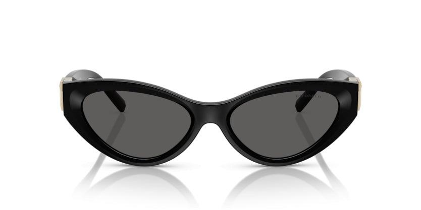 Gafas de Sol Tiffany&Co TF4225U 8001S4 54 17