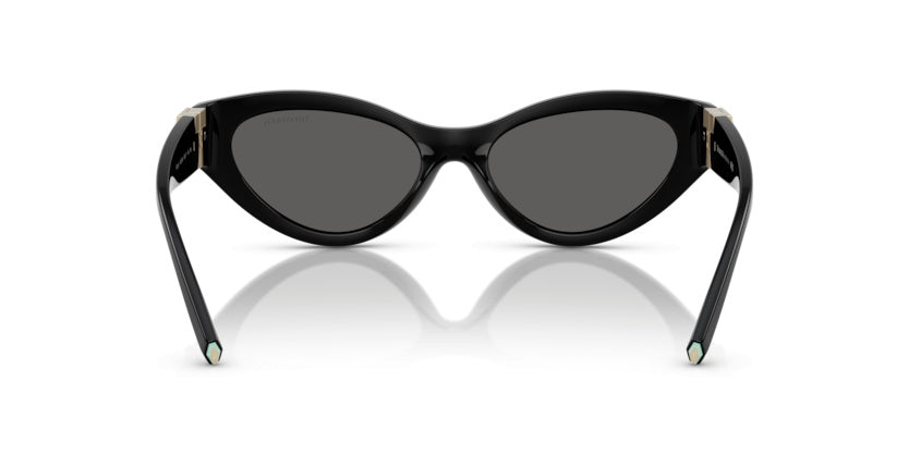 Gafas de Sol Tiffany&Co TF4225U 8001S4 54 17