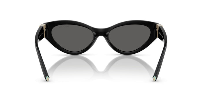 Lunettes de Soleil Tiffany&Co TF4225U 8001S4 54 17 — vista 5