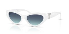 Sunglasses Tiffany&Co TF4225U 83929S 54 17