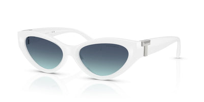 Lunettes de Soleil Tiffany&Co TF4225U 83929S 54 17