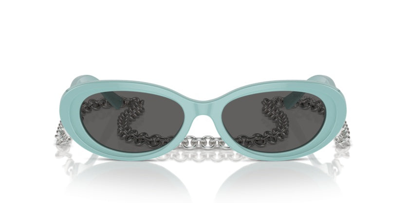 Gafas de Sol Tiffany&Co TF4221 8388S4 54 17