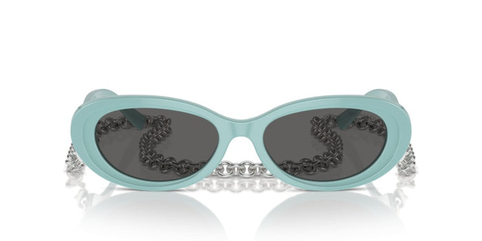 Tiffany&Co TF4221 8388S4 54 17 太阳镜 — vista 2