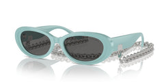 Sunglasses Tiffany&Co TF4221 8388S4 54 17