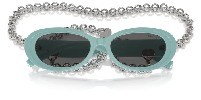 Tiffany&Co TF4221 8388S4 54 17 太阳镜 — vista 5