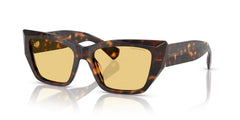 Sonnenbrillen Tiffany&Co TF4230 8015/7 54 17