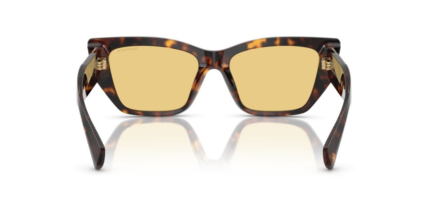 Gafas de Sol Tiffany&Co TF4230 8015/7 54 17